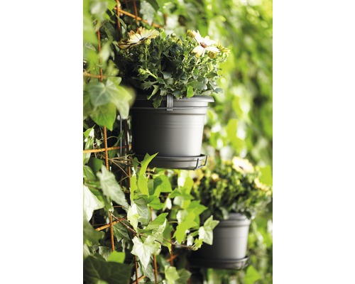 Blumen in Töpfen an einem Pflanzgitter befestigt.