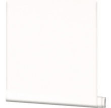 Cache radiateur blanc