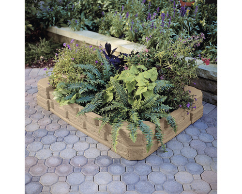 Bordure de parterre en pierre avec des plantes dans le jardin