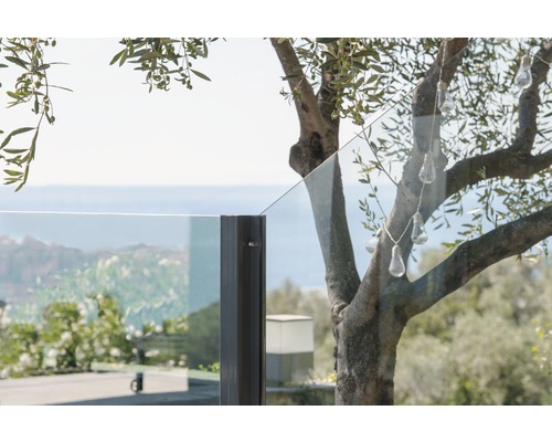 Detailaufnahme einer Glasbrüstung mit Baum und Lichterkette im Aussenbereich