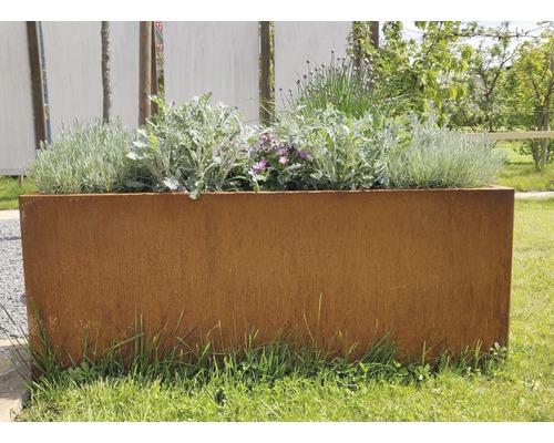 Hochrechteckiger Pflanzkasten aus Metall mit Pflanzen auf einer Rasenfläche