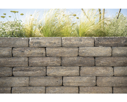 Pierres de mur empilées avec des plantes