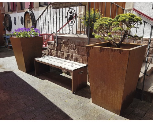 Espace extérieur avec bacs à plantes, fleurs et un banc