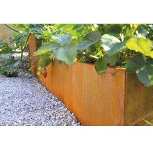 Jardinière surélevée en métal avec fraises et allée de gravier