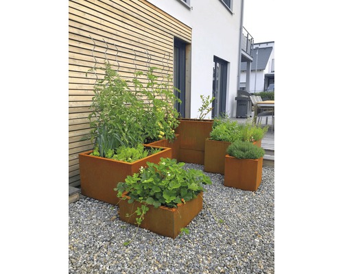 Vue de jardin avec des parterres de jardin en acier contenant diverses plantes