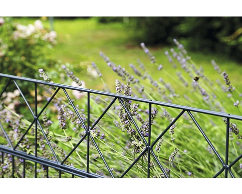 Metallzaun mit dekorativem Gitter vor Lavendel im Garten