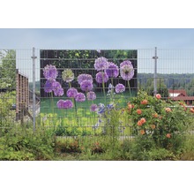 Clôture de jardin avec pare-vue décoratif à motif floral