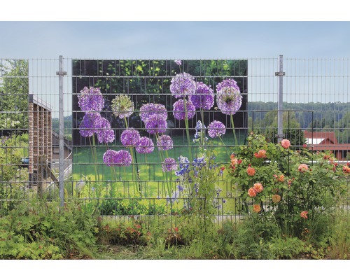 Clôture de jardin avec motif floral et rosier dans le jardin
