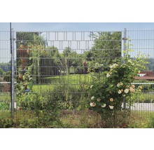 Clôture en treillis avec décoration de jardin et plantes