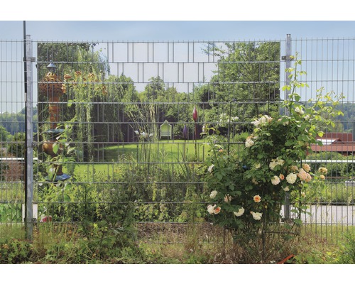 Clôture en treillis avec décoration de jardin et plantes