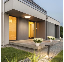 Espace d'entrée de maison avec éclairage extérieur et plantes en pot