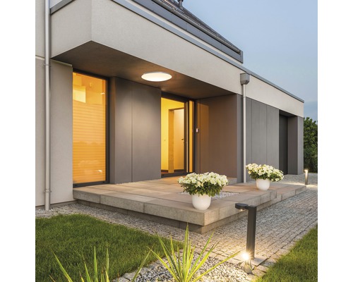 Espace d'entrée de maison avec éclairage extérieur et plantes en pot