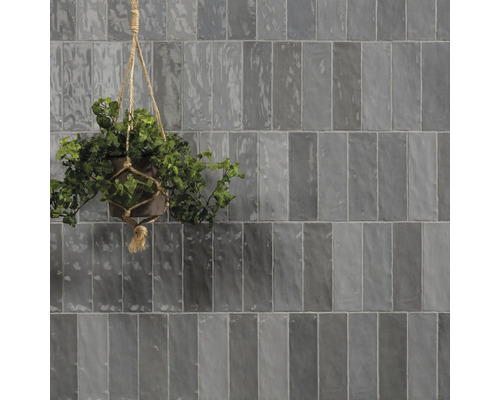 Carrelage mural de format allongé avec plante suspendue en pot