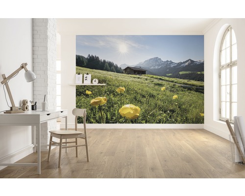 Papier peint photo avec paysage de montagne et chalet d''alpage dans une pièce lumineuse