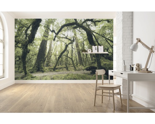 Intérieur avec papier peint photo motif forêt, bureau et chaise