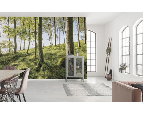 Pièce lumineuse avec papier peint photo d''une forêt, meubles et fenêtres