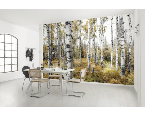 Heller Raum mit Fototapete, die einen Birkenwald zeigt