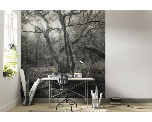 Scène avec un papier peint photo avec un motif de forêt derrière un bureau