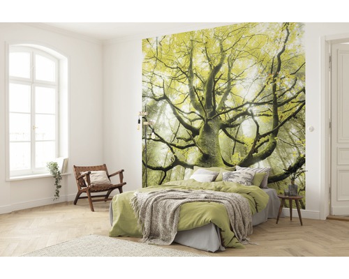 Chambre à coucher avec papier peint photo à motif d''arbre, lit et chaise en bois