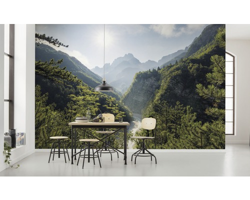 Intérieur avec papier peint photo d''une vallée montagneuse boisée, table à manger et chaises