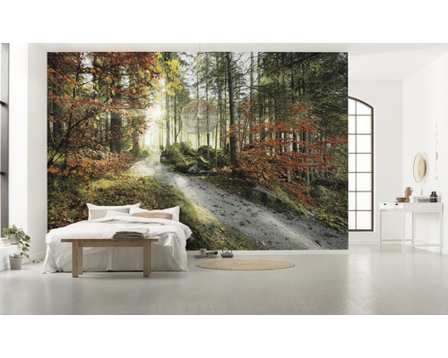 Chambre claire avec papier peint photo d''une forêt d''automne