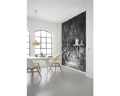 Salle à manger lumineuse avec table, chaises et un papier peint photo avec une allée d''arbres