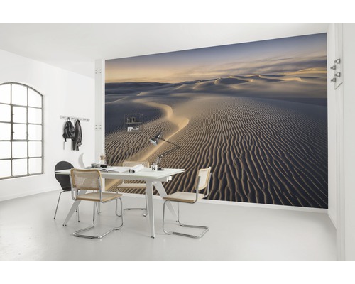 Espace de vie avec un papier peint photo d''un paysage de dunes de sable qui crée une atmosphère calme.