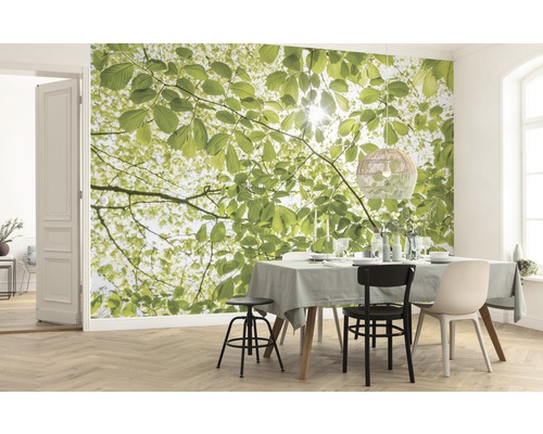 Salle de séjour avec papier peint photo avec motif de canopée, table à manger et chaises