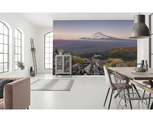 Salon lumineux avec papier peint photo d''une montagne