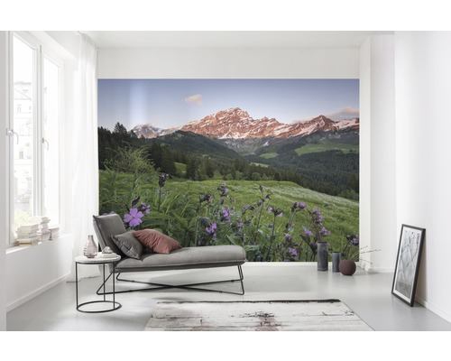 Salon avec papier peint photo paysage de montagne et prairie fleurie