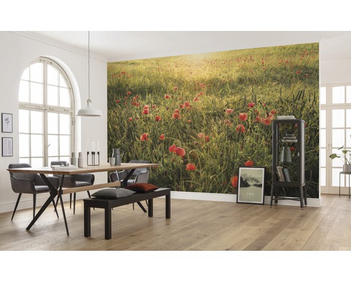 Salle à manger avec table, chaises, banc et papier peint photo avec un champ de coquelicots