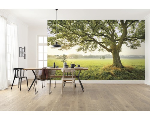 Intérieur avec papier peint photo représentant un arbre dans une prairie verte.