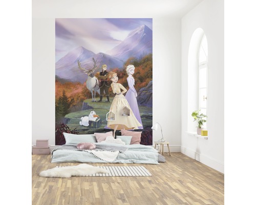Zimmer mit Fototapete mit dem Motiv Frozen