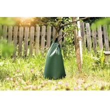Sac d''arrosage sur un arbre dans le jardin pour un arrosage ciblé