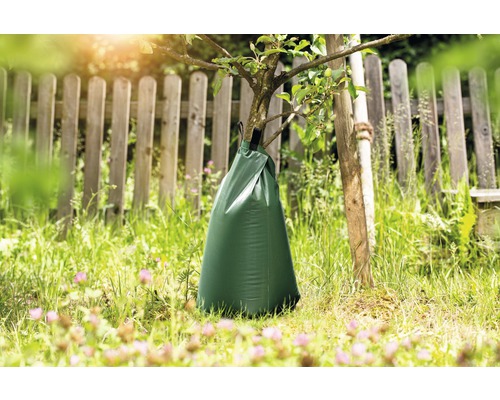 Sac d''arrosage sur un arbre dans le jardin pour un arrosage ciblé