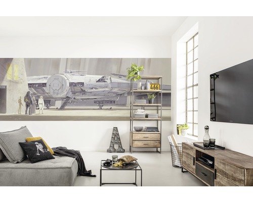 Salon avec canapé, étagère, meuble TV et fresque murale Star Wars