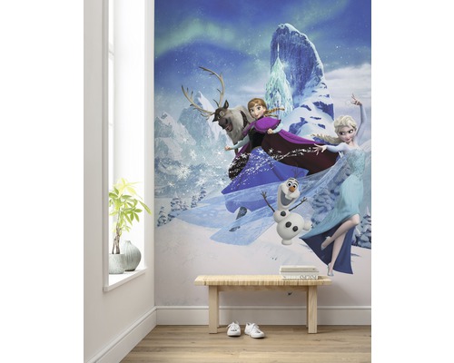 Vue d''une pièce avec une fresque murale de la Reine des neiges représentant Anna, Elsa, Kristoff, le renne Sven et le bonhomme de neige Olaf.