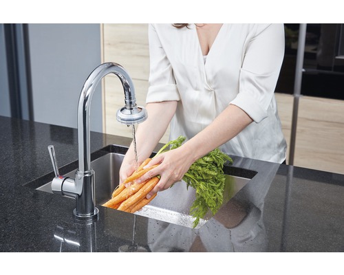 Diaqua® DrinkPure Trinkwasserfilter mit Küchenbrause New Look Plus