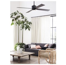 Wohnzimmer mit Deckenventilator, Sofa, Couchtisch und Zimmerpflanze