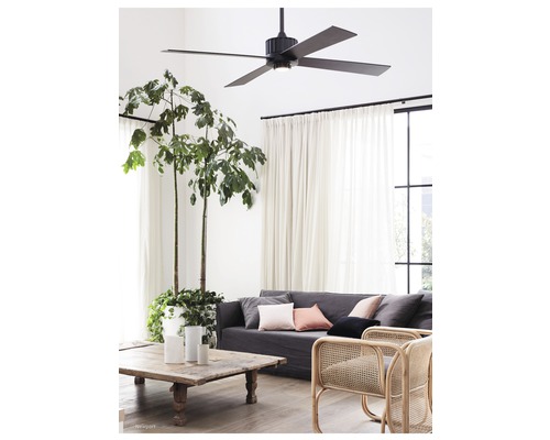 Wohnzimmer mit Deckenventilator, Sofa, Couchtisch und Zimmerpflanze