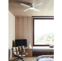 Chambre avec ventilateur de plafond, fauteuil, banc et fenêtre.