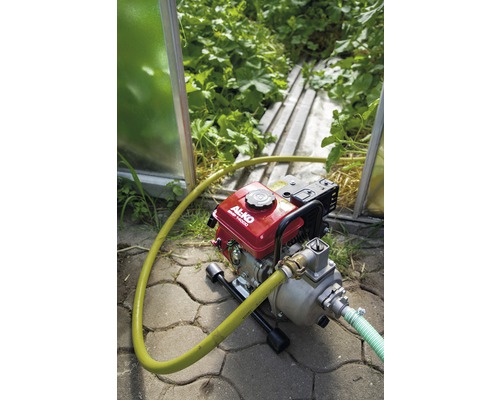 Motopompe avec tuyau dans le jardin pour l''irrigation