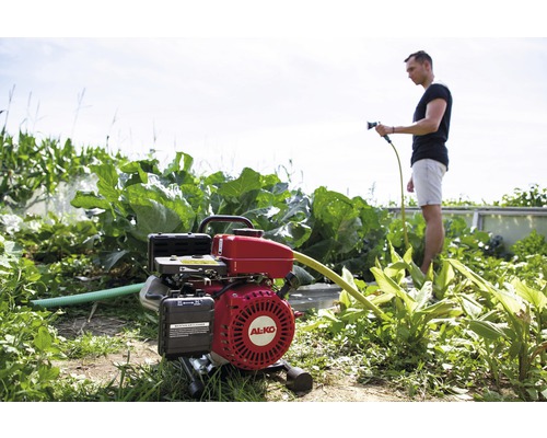 Pompe de jardin AL-KO en service pour irriguer un potager avec un homme tenant un tuyau