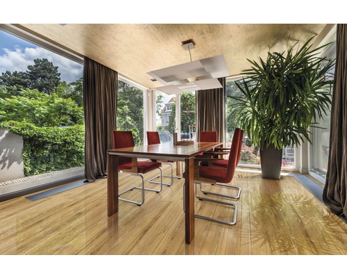 Salle à manger lumineuse avec plancher en bois, table à manger, chaises, plante d''intérieur et lumière du jour.