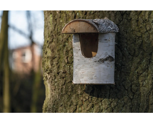 Nichoir semi-ouvert Le dodu pour oiseaux semi-cavernicoles