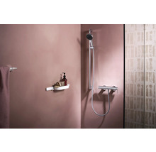 Badezimmer mit Handtuchhalter, Duschregal, Duscharmatur und Duschkopf
