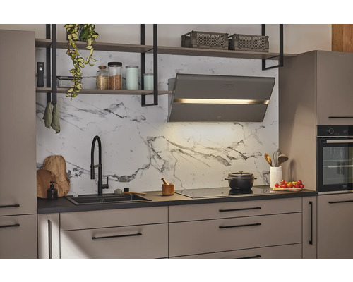 Moderne Küche mit Dunstabzugshaube, Spüle, Kochfeld und Regalen