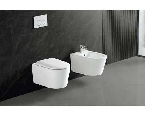 WC suspendu et bidet avec bouton de chasse d''eau dans une salle de bain moderne