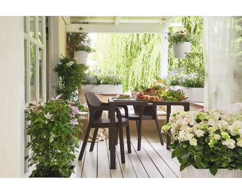 Véranda lumineuse avec table à manger, chaises, jardinières et pots de fleurs suspendus.