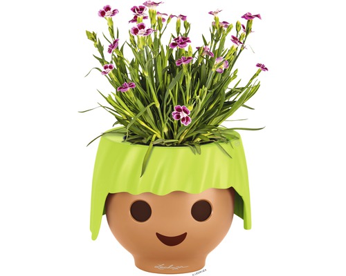 Pot de fleurs au design ludique avec plante à fleurs